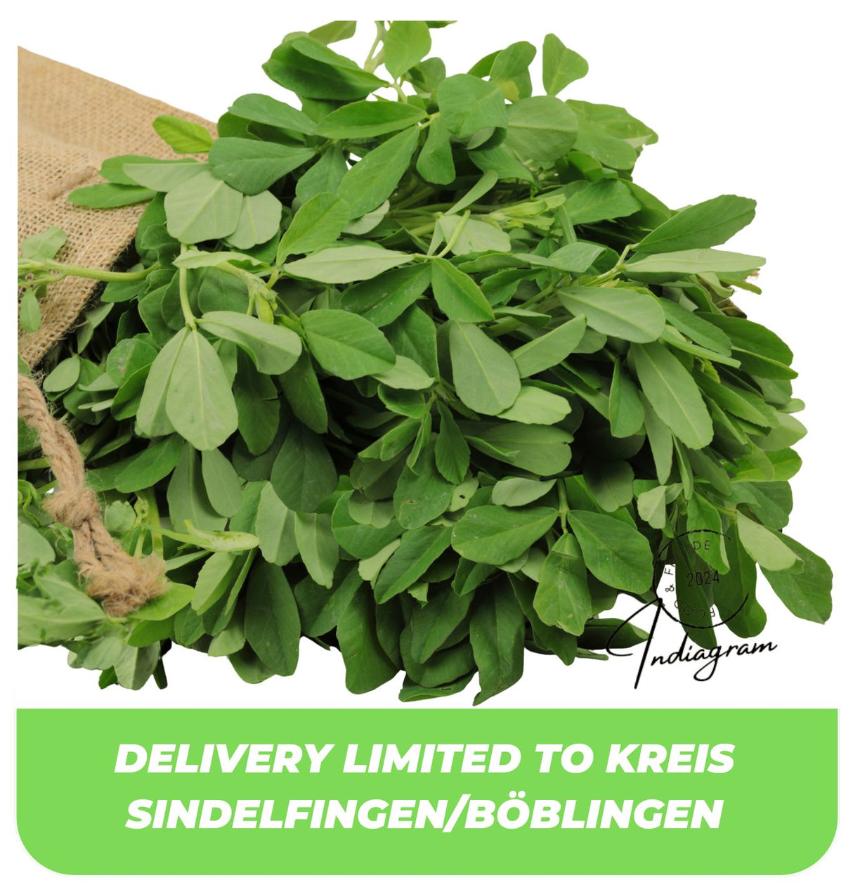 FRISCHES METHI (FENUGREEK BLÄTTER) im Bund- 1 Stück
