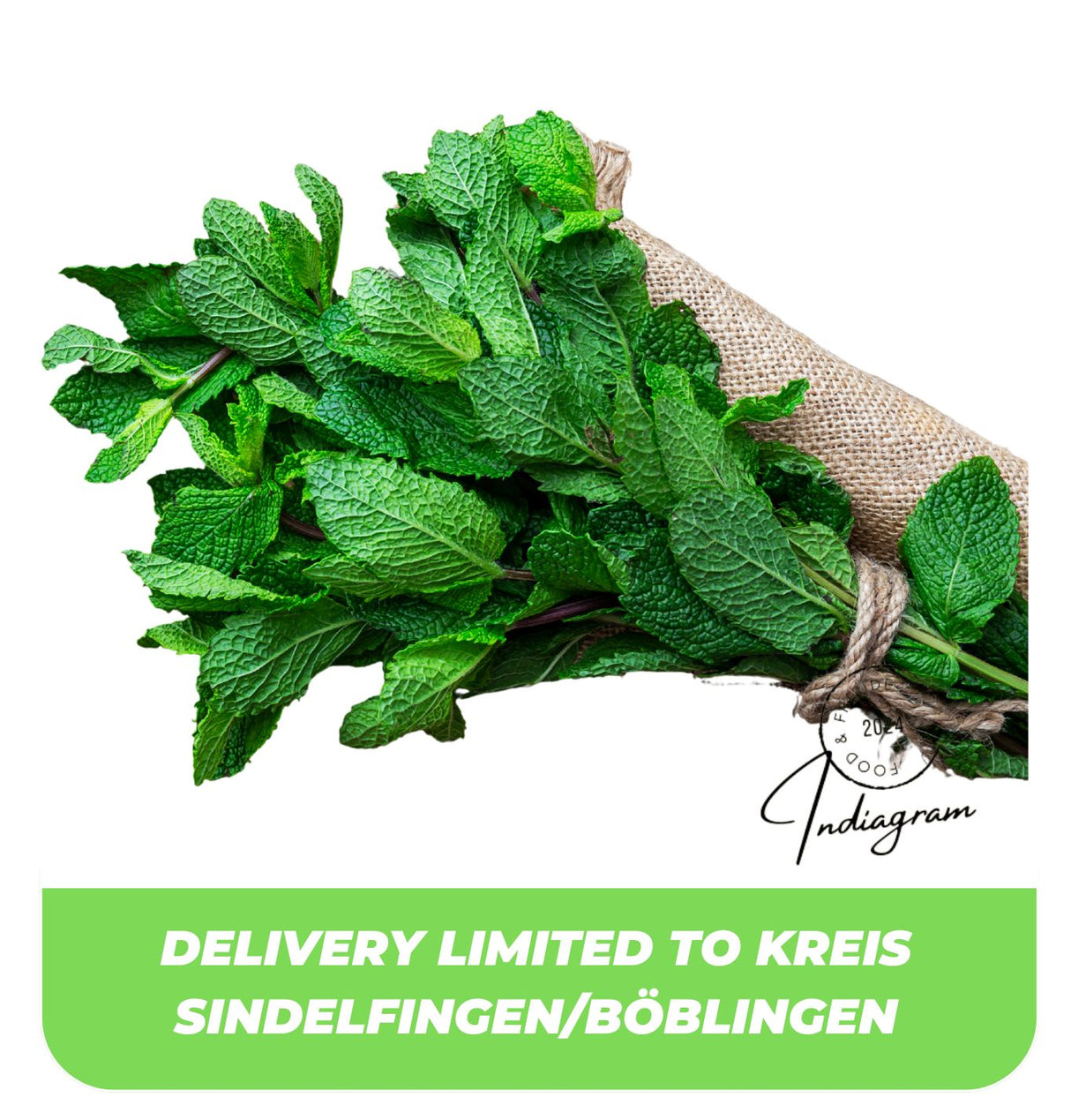 FRESH PUDINA BUNCH (MINT) - 1 Pc