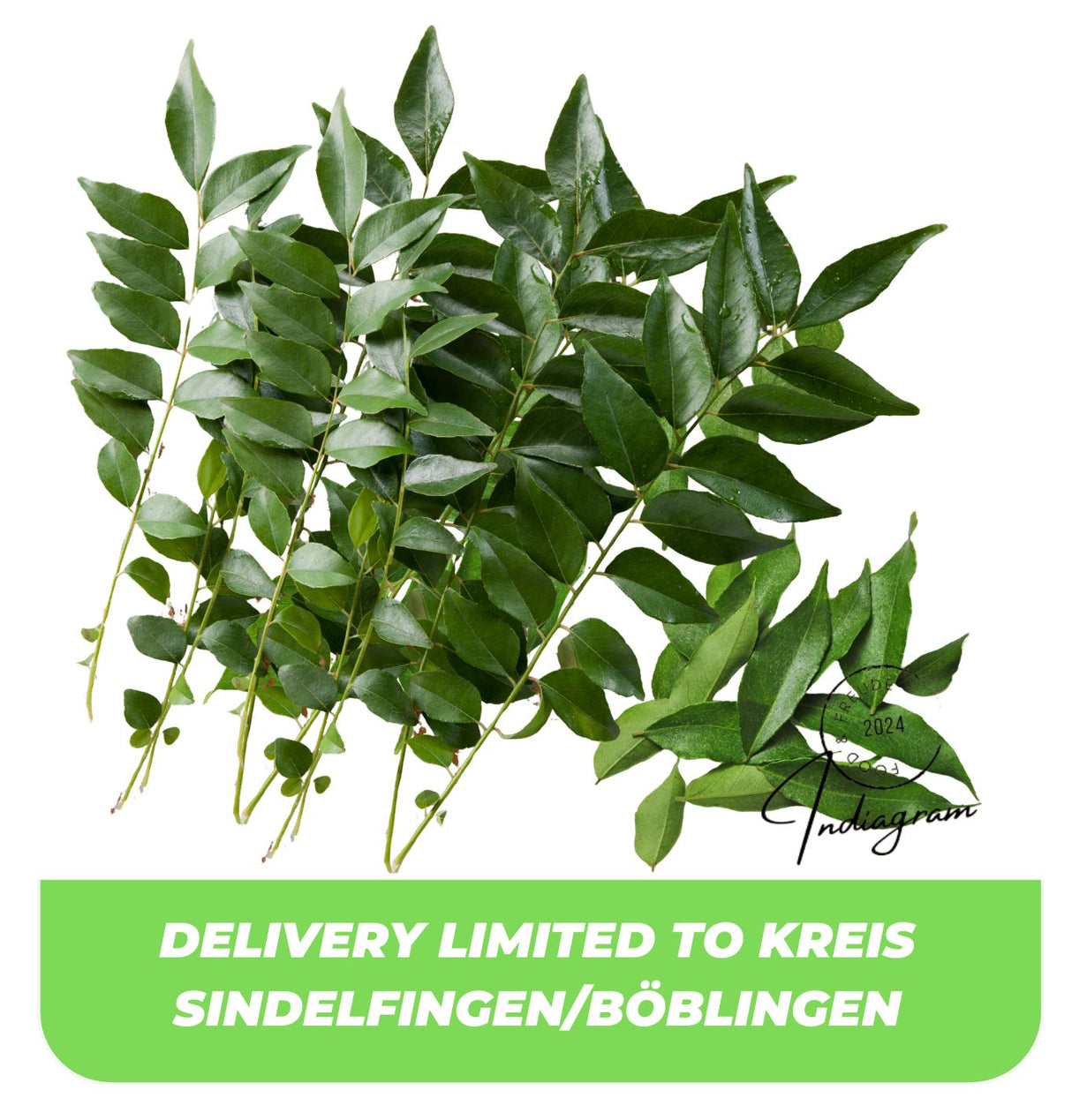 FRESH CURRY LEAVES - 1 Pc