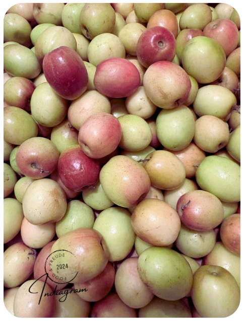 FRISCHER BER (APPLE BORE)