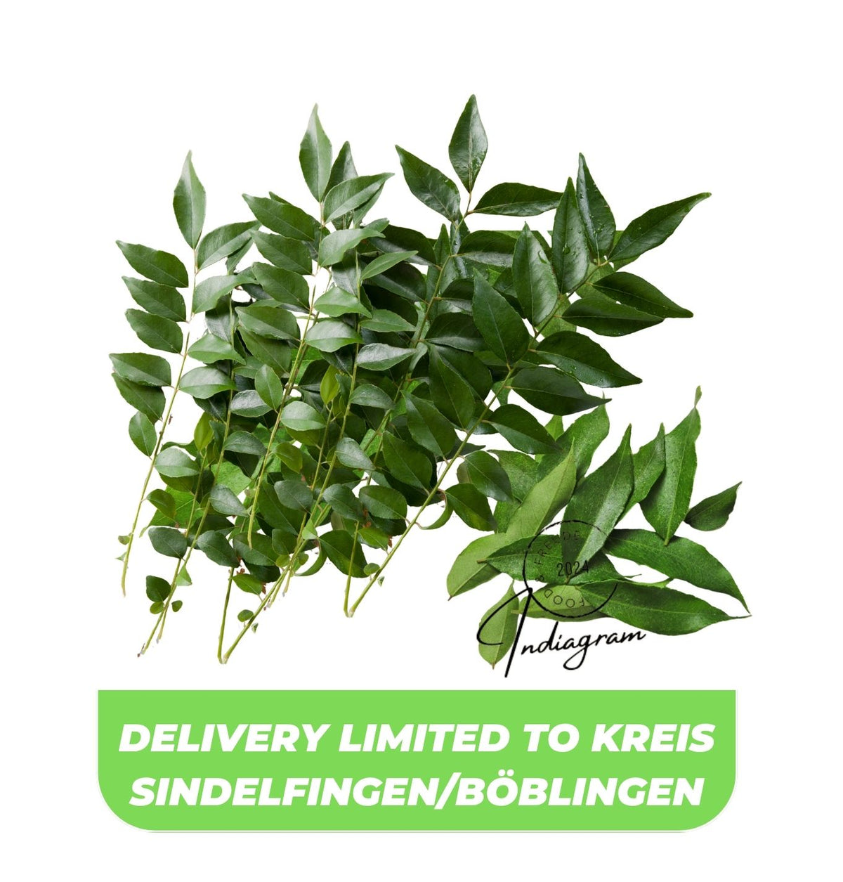 FRESH CURRY LEAVES - 1 Pc(CONTAINS FEW DARK LEAVES)
