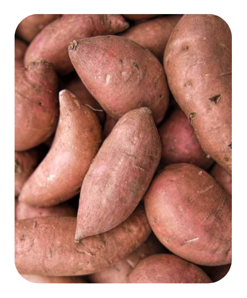 FRESH SHAKARKANDI (SWEET POTATO)