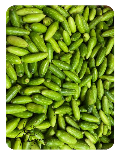 FRESH TINDORA (IVY GOURD) -300gm