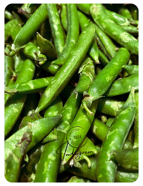 FRESH MATTAR (Green Peas)