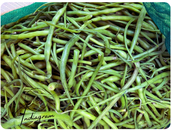 FRESH MOGRI/MUNGRE BEANS (RADISH PODS)- 200gm
