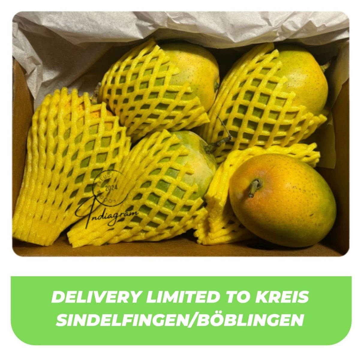 FRESH INDIAN KESAR MANGO BOX - (5~6Pcs/1.4Kg)
