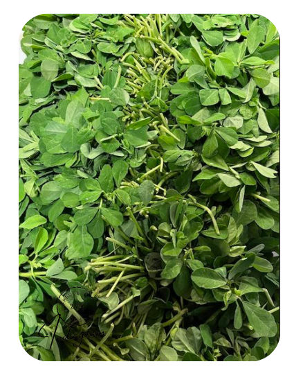 FRESH METHI BUNCH (FENUGREEK LEAVES) - 1 Pc