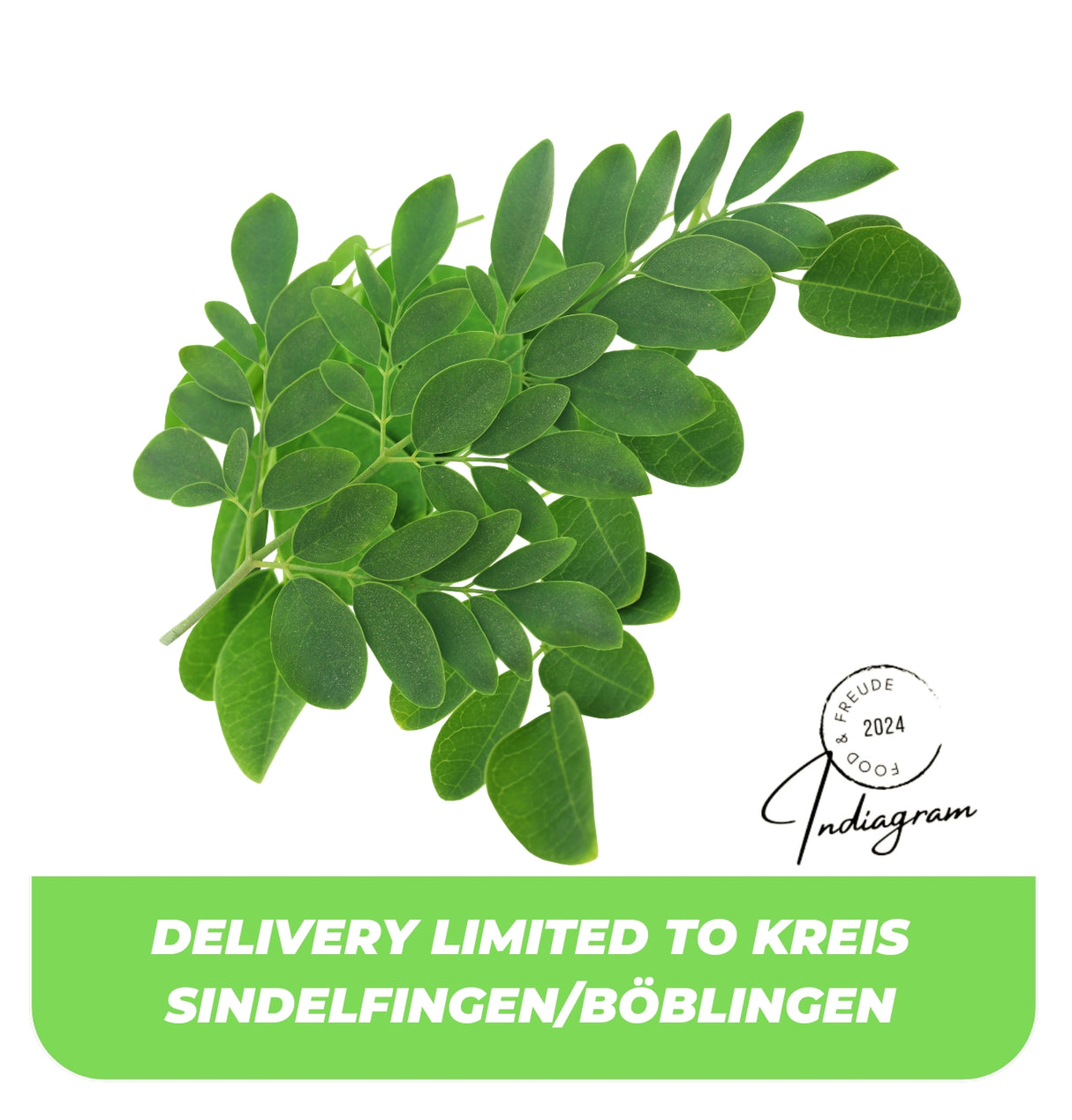 FRISCHE MORINGA-BLÄTTER (TROMMELSTOCKBLÄTTER) - 250~260gm