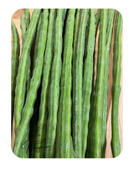 FRESH DRUMSTICKS (SAJJAN KI PHALLI)