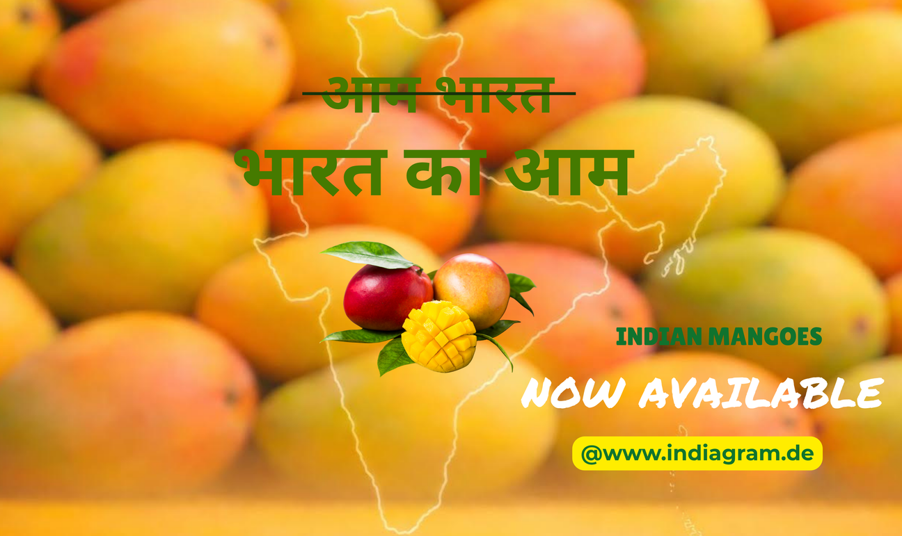 INDIAN MANGOES