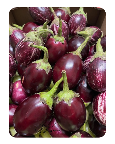 FRISCHES INDISCHES BAINGAN (AUBERGINE) - 250gm
