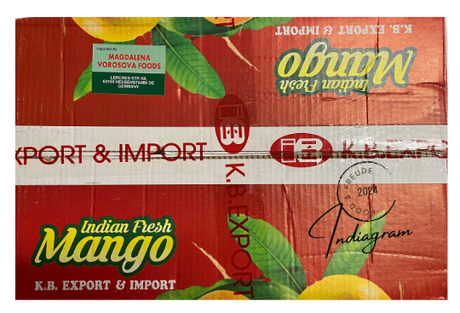FRESH INDIAN BADAMI MANGO  - 6pcs