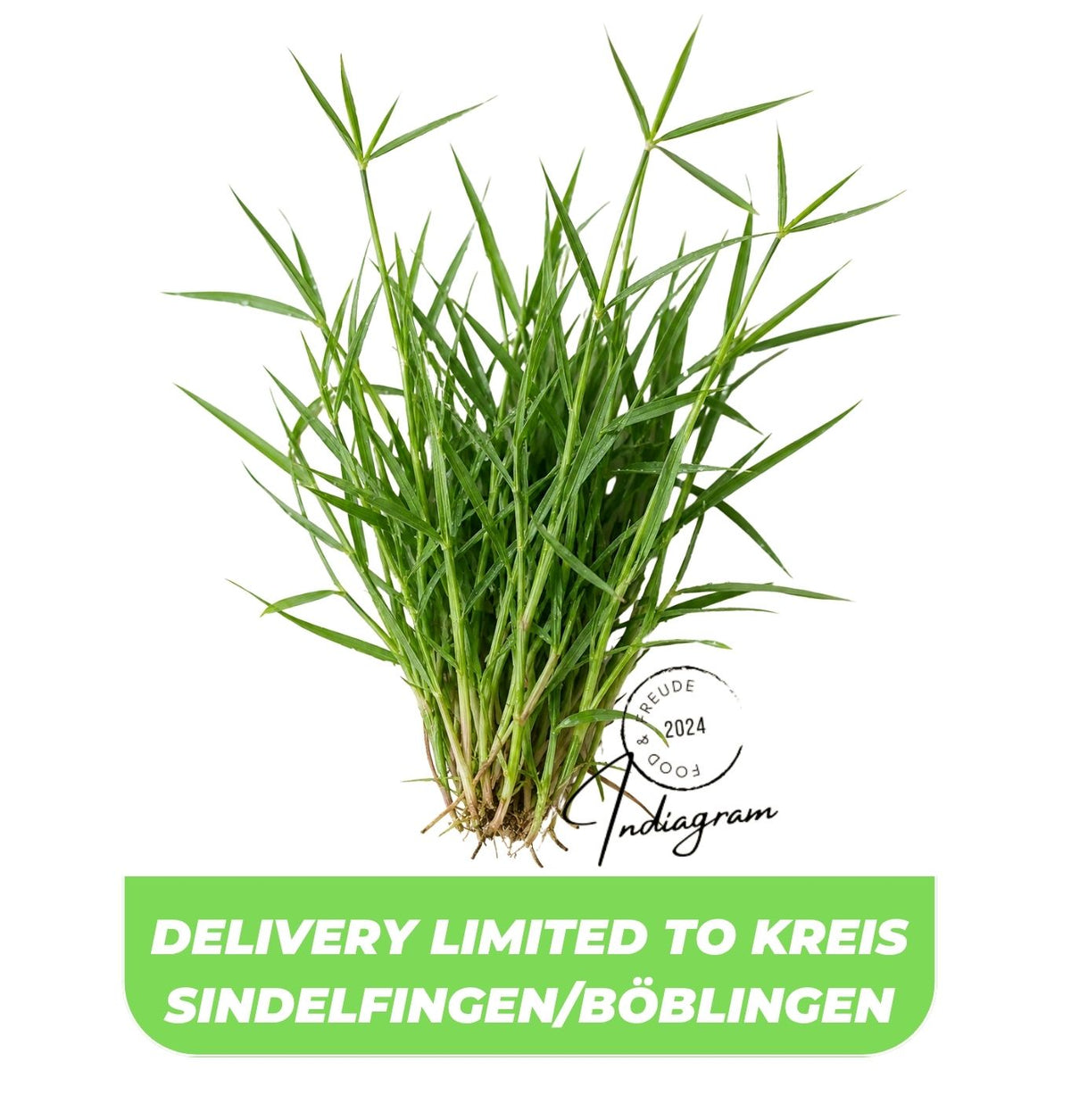 DURVA GRASS (DOOB) Per Bundle - 10gm