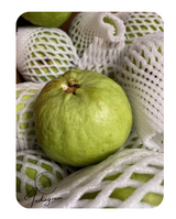 FRISCHES AMROOD (GUAVE)