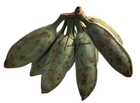 FRESH GREEN BANANA - 300~350gm approx.