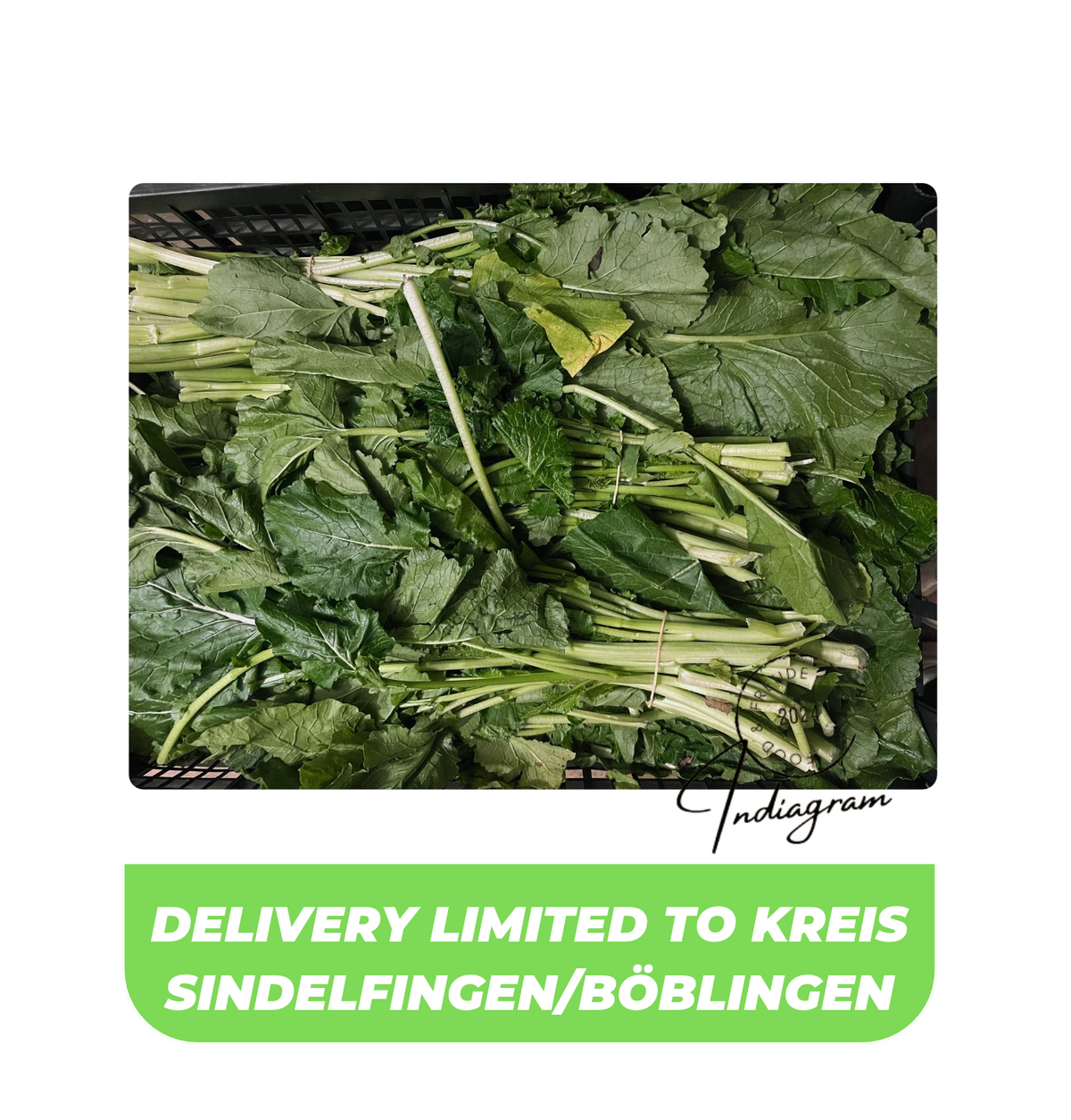 FRISCHE SENFBLÄTER  - 500gm