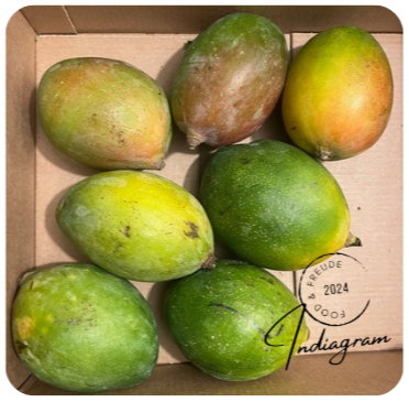 GREEN MANGO - SMALL SIZE (1pc) (WEEK-2)