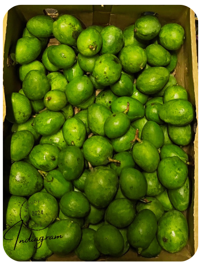 GRÜNE MANGO
