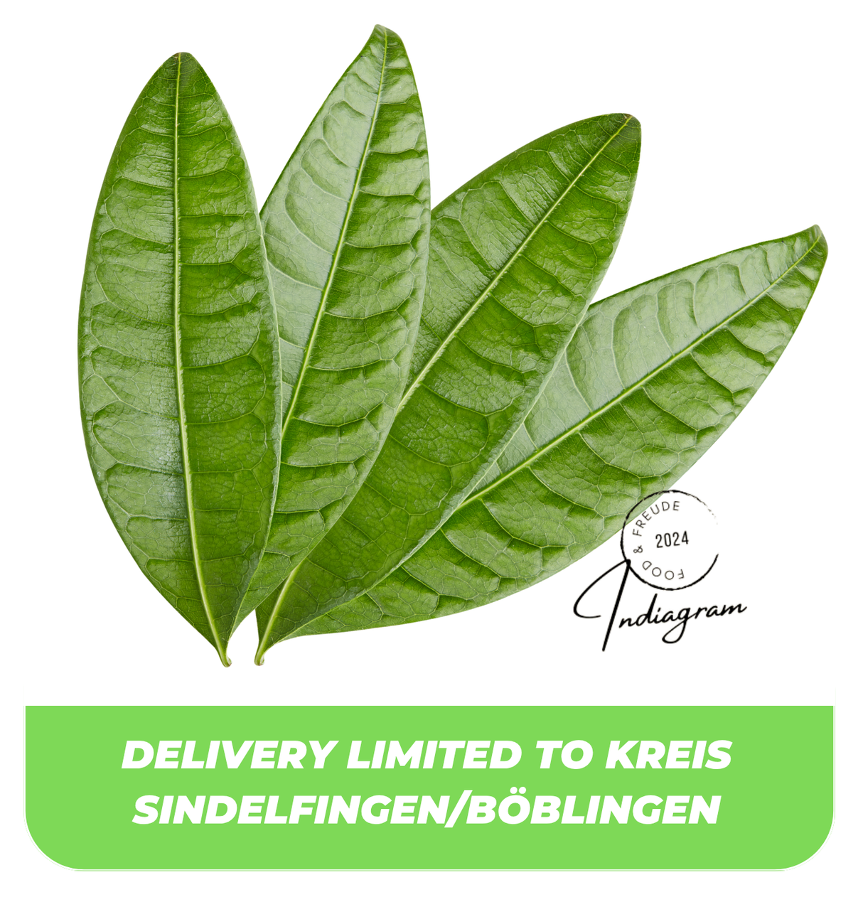 MANGO LEAVES - 5 Pcs