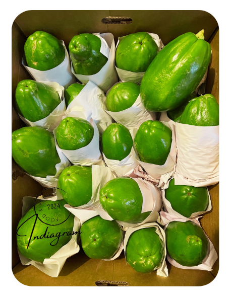 FRESH GREEN PAPAYA (PAPITA)