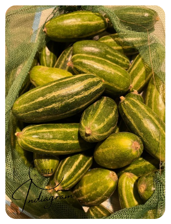FRISCHER PARWAL (SPITZKÜRBIS)