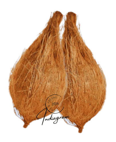 FRISCHES NARIYAL (KOKOSNUSS) – 1 Stk