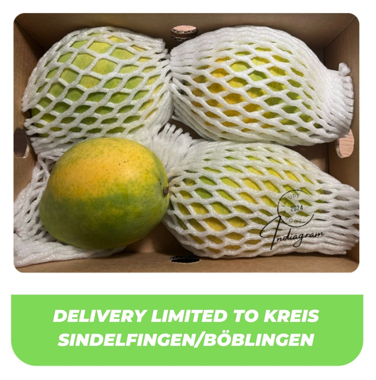 FRESH INDIAN TOTAPURI MANGO BOX - (4Pcs/1.5-1.6Kg)